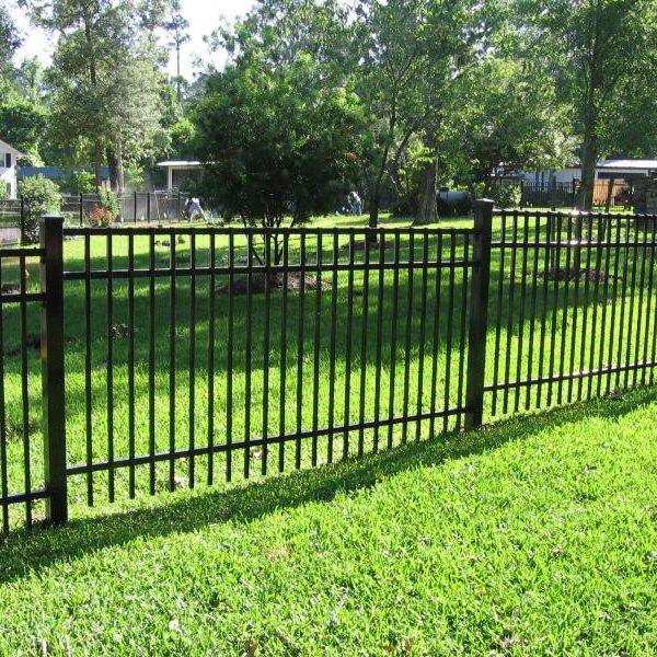 Fencing Mountain View